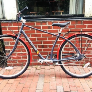 New belgium bike