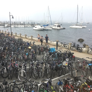 hundreds of bikes parked at Newport Jazz Fest and Newport Folk Fest