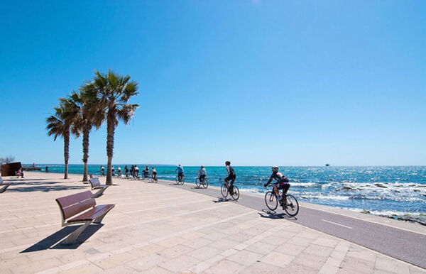 cyclists on a beachfront promenade with palm trees